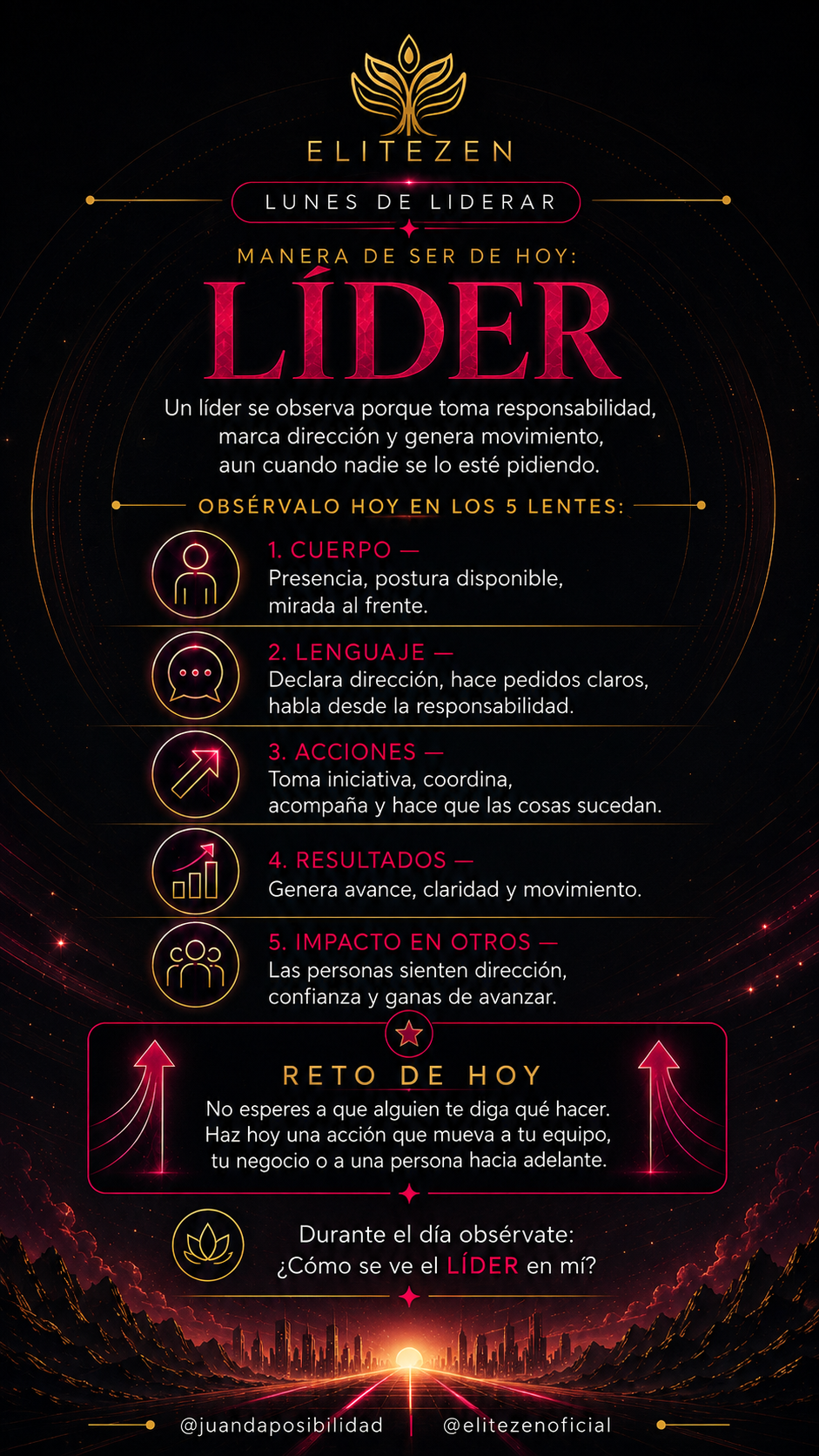 Infografía completa Líder